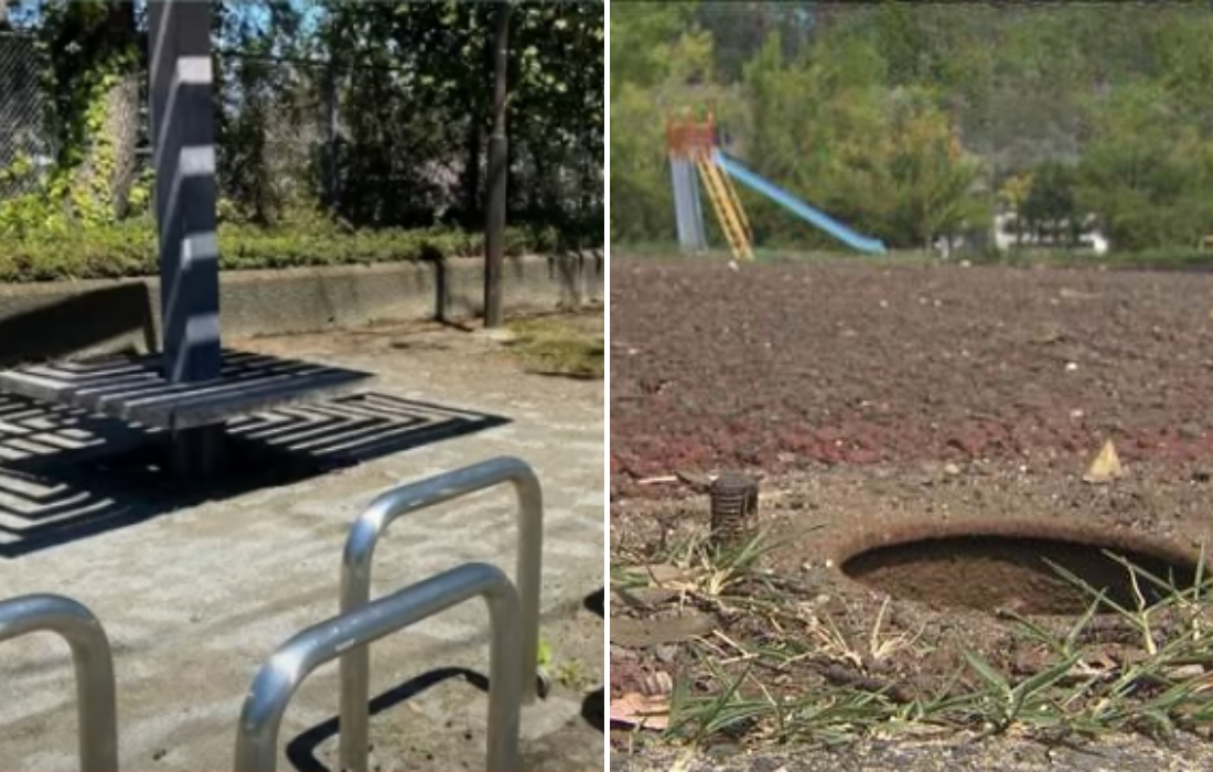 公園から「アレ」を盗難した外国人「生えてたから抜いた」