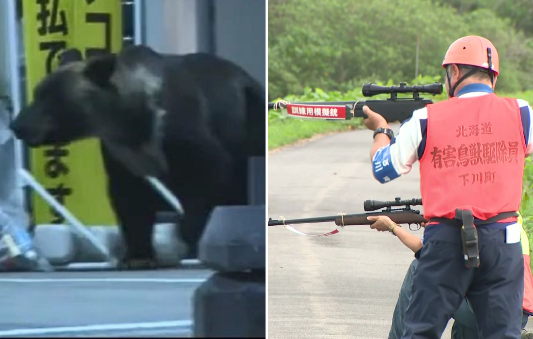 北海道知事「緊急銃猟でハンターの責任は問いません」